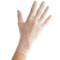 Powder-Free Disposable Vinyl Gloves for Foodservice - Case of 1000 (10 Boxes of 100)