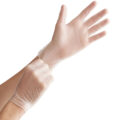 Powder-Free Disposable Vinyl Gloves for Foodservice - Case of 1000 (10 Boxes of 100)